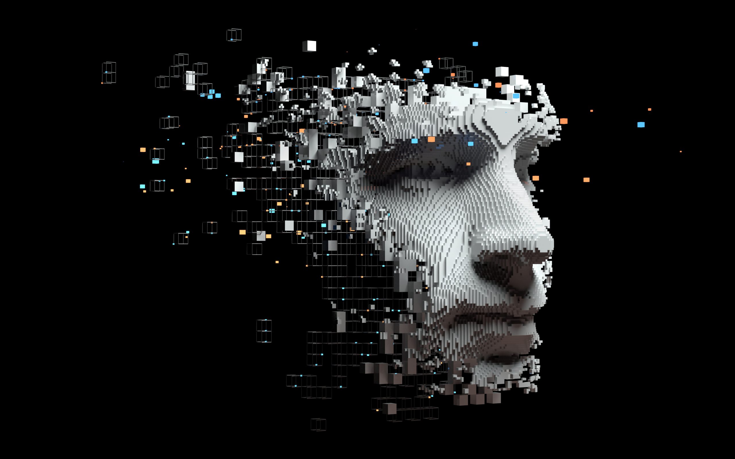 Digital Innovation